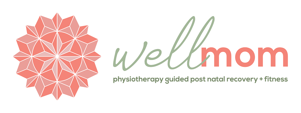 WellMom Physiotherapy guided post natal recovery and fitness 